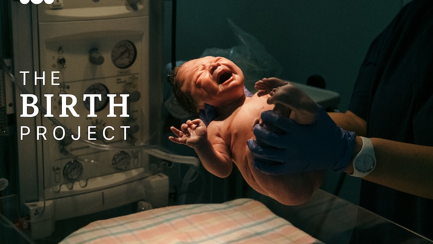 The Birth Project image