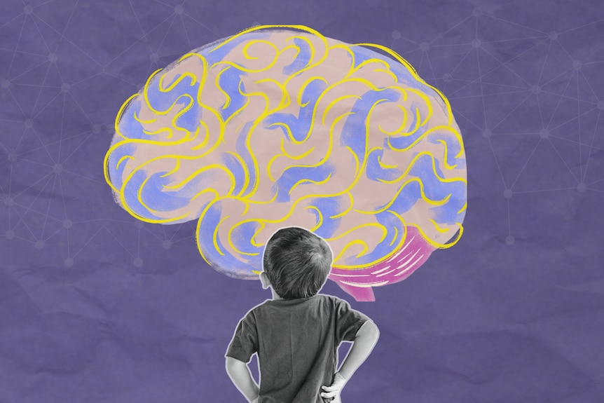 A graphic showing a young boy looking up at an illustration of a brain