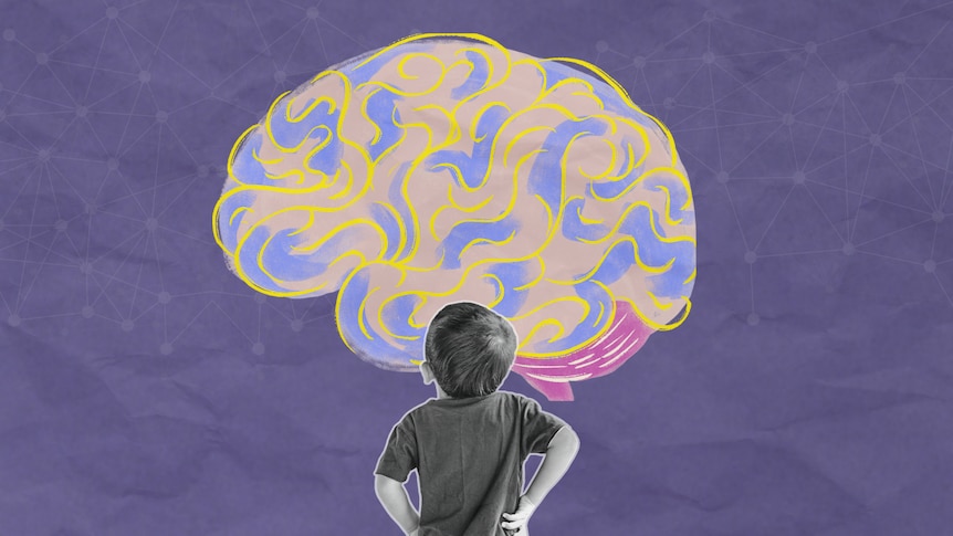 A graphic showing a young boy looking up at an illustration of a brain