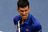 Novak Djokovic grimaces and gestures with his hand on the tennis court