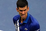 Novak Djokovic grimaces and gestures with his hand on the tennis court