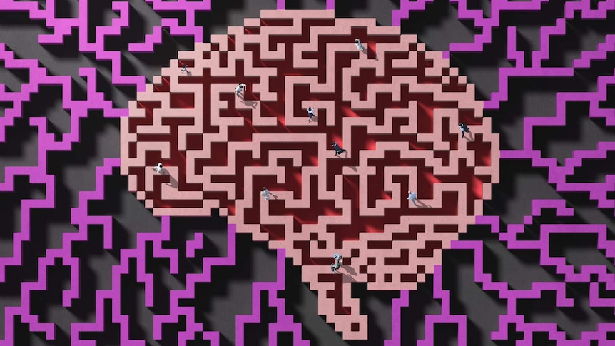 An illustration of the brain as a maze