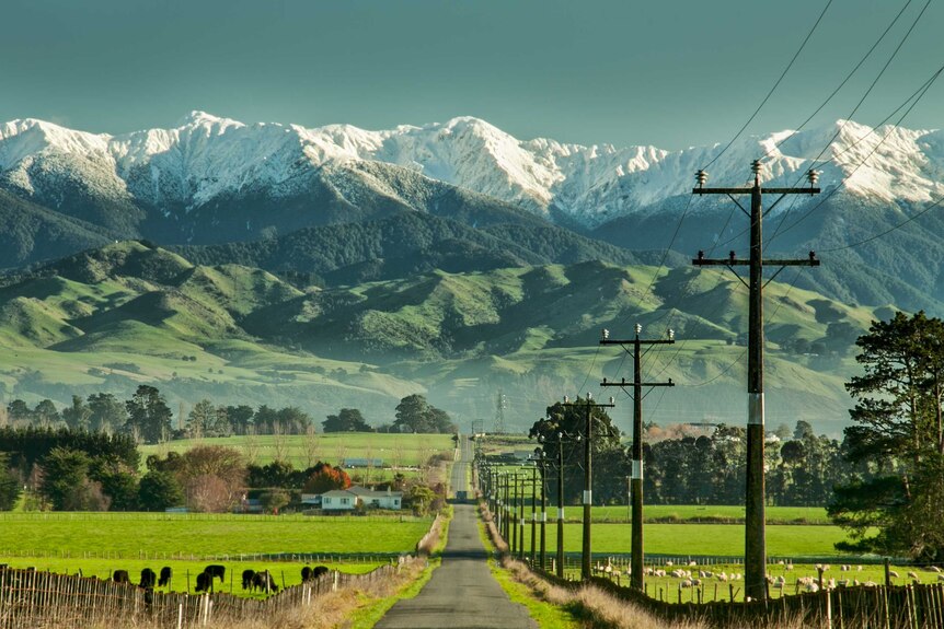 A narrow road leads to a huge expanse of green mountain range, with large snow-capped mountain range above it.