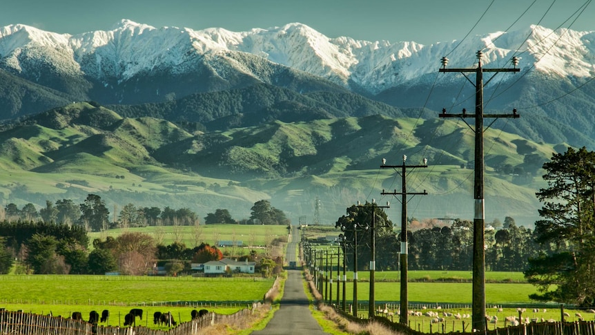 A narrow road leads to a huge expanse of green mountain range, with large snow-capped mountain range above it.