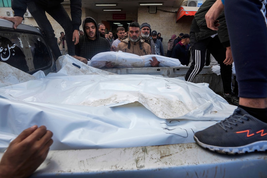 Palestinians load the bodies of their relatives killed in the Israeli bombardment of the Gaza Strip.