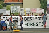 Timber company Ta Ann's Hobart headquarters targeted by activists