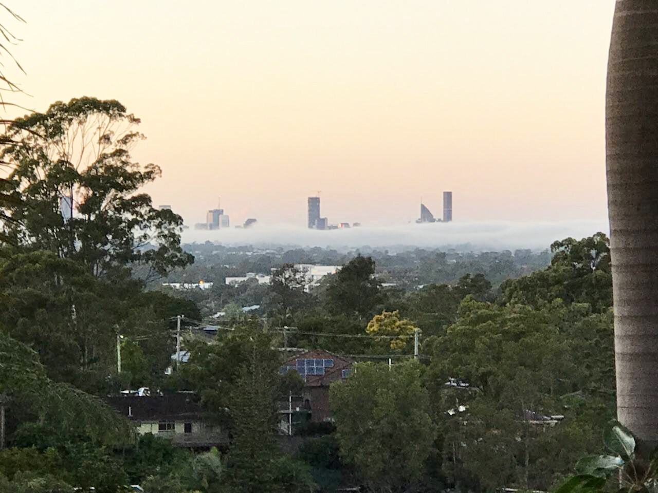 Fog blankets Brisbane city buildings.