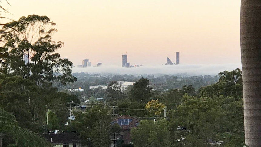 Fog blankets Brisbane city buildings.
