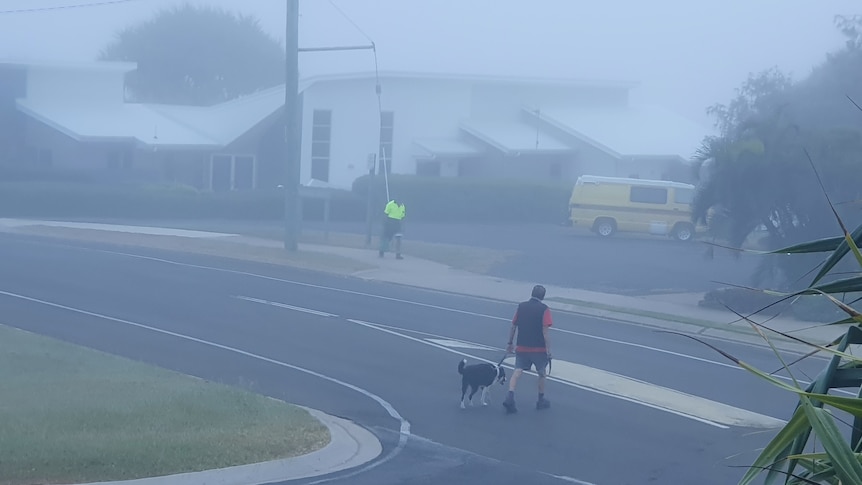 A man crossing a road with this dog amongst the fog