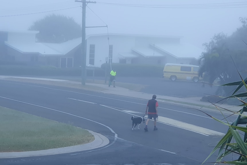 A man crossing a road with this dog amongst the fog