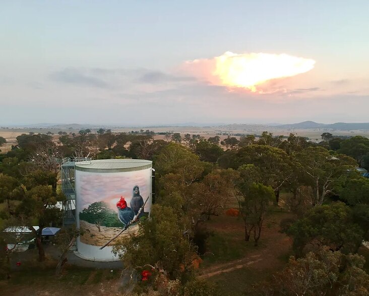 A drone shot of trees, the sky, and a water tank with a mural of two large birds painted on it 