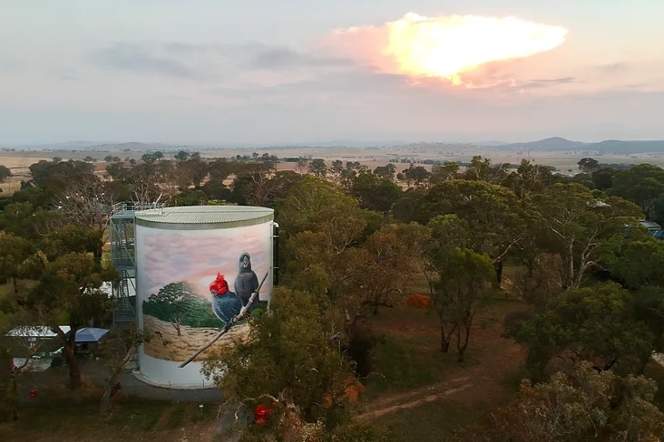 A drone shot of trees, the sky, and a water tank with a mural of two large birds painted on it 