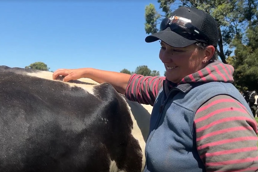 A female farmer scratches a cow's head 