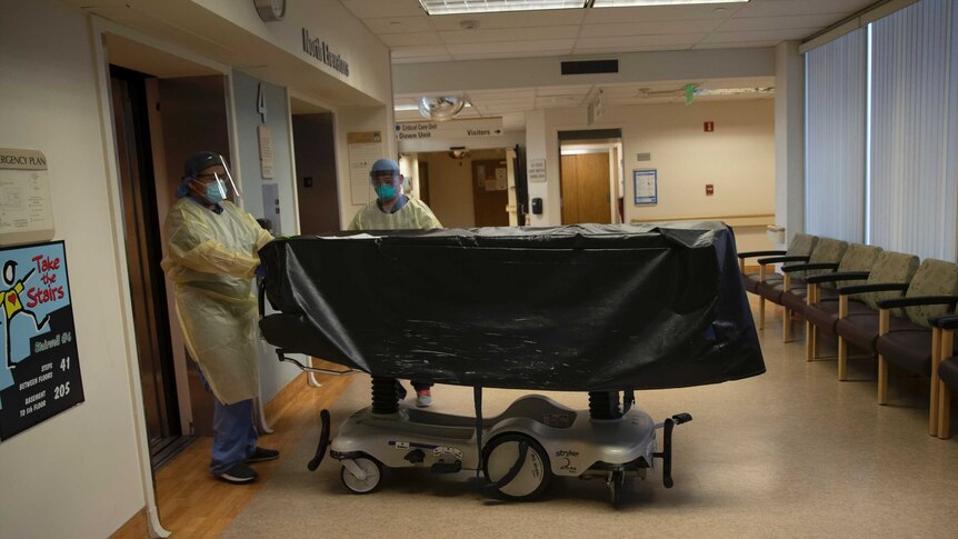 Two hospital workers wearing masks and gowns while pushing a black body bag on wheels