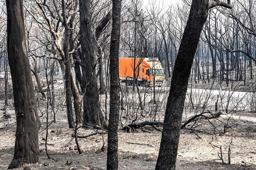 An orange truck driving through a fire-affected area