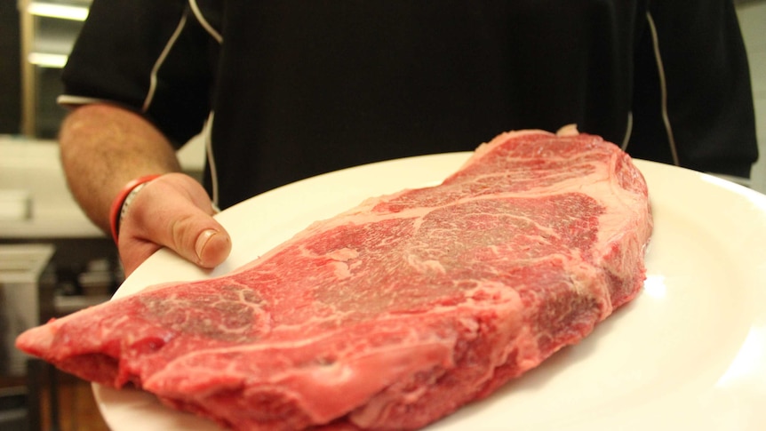 A piece of steak on a plate