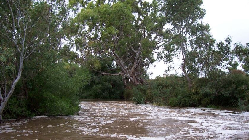 A swollen river rages in Newstead, Victoria. The river was reportedly not flowing the day before.