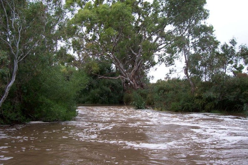 A swollen river rages in Newstead, Victoria. The river was reportedly not flowing the day before.