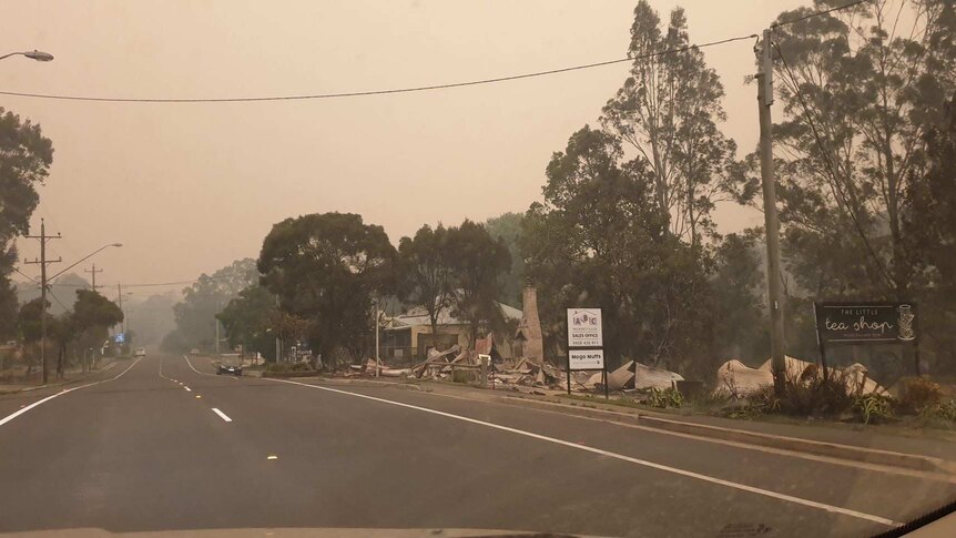 Mogo after the bushfires