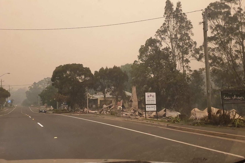 Mogo after the bushfires