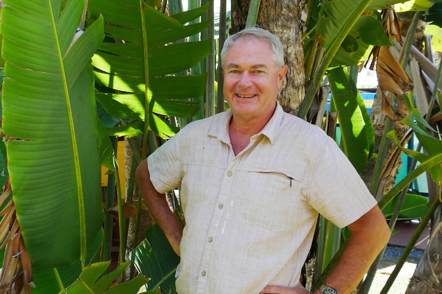 A man is smiling with his hands on his hips, there is a palm plant in the background