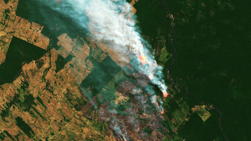 Satellite image captures fire in the Amazon