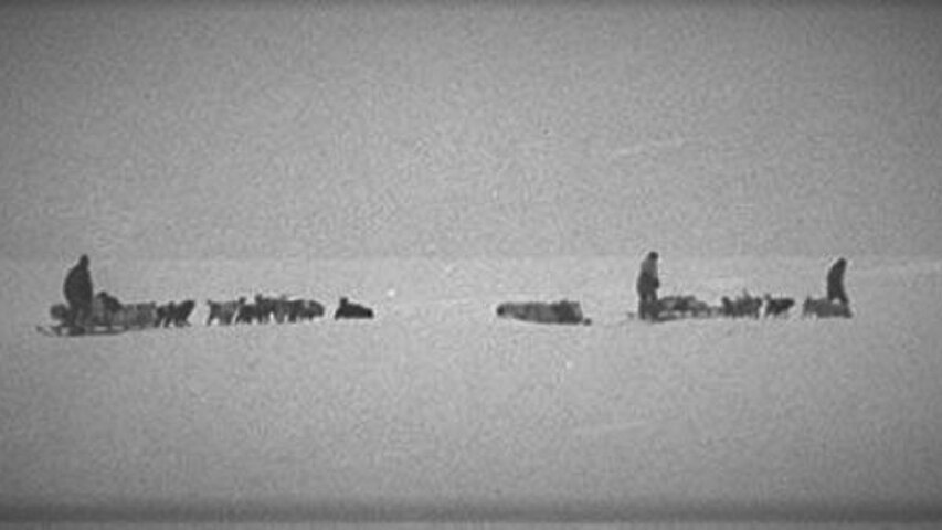 Black and white image of a snow sled team.