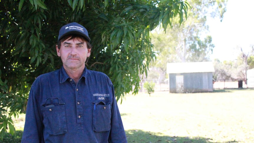 Grazier Peter Woollett standing in front of a bright green mango tree at a cattle station in Queensland