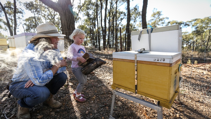 A woman and her daughter smoke one of their beehives
