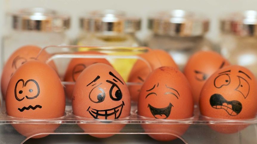 A carton of eggs with faces drawn on them