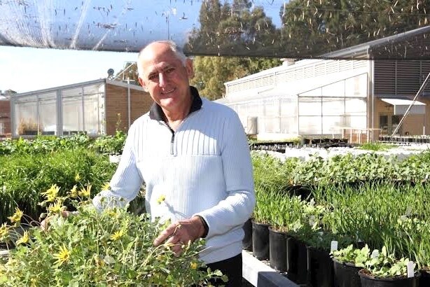 A man standing next to plants in a nursery