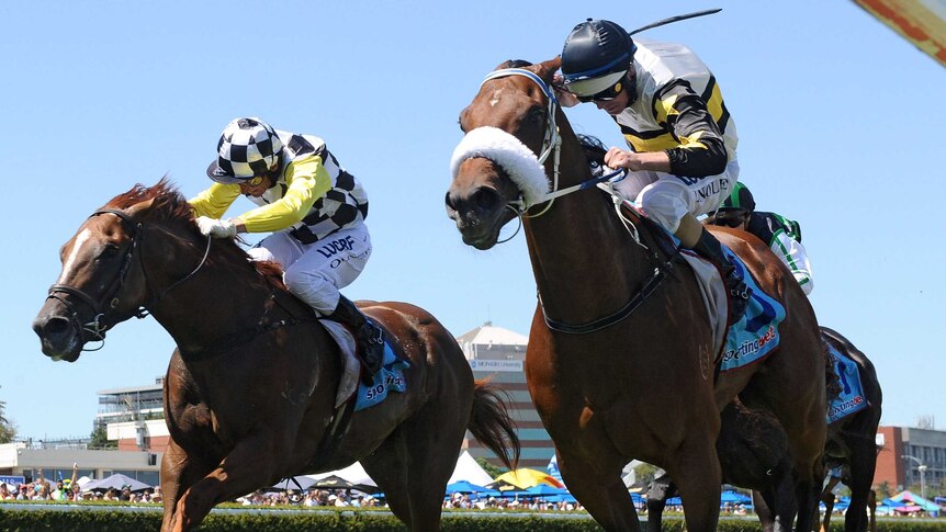 Moment of Change wins at Caulfield