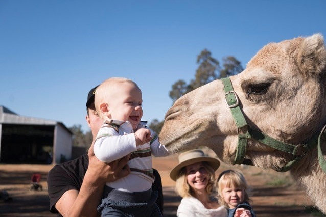 A man holds an infant boy up to pat a camel as a woman and young girl watch on.