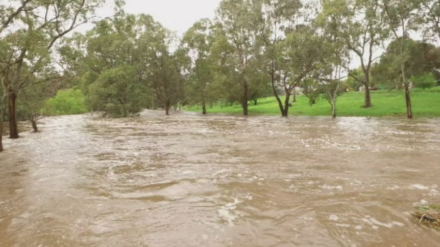 Water rushes down Adelaide's River Torrens near the CBD