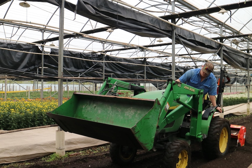 a man drives a small tractor on a bed of soil under a greenhouse
