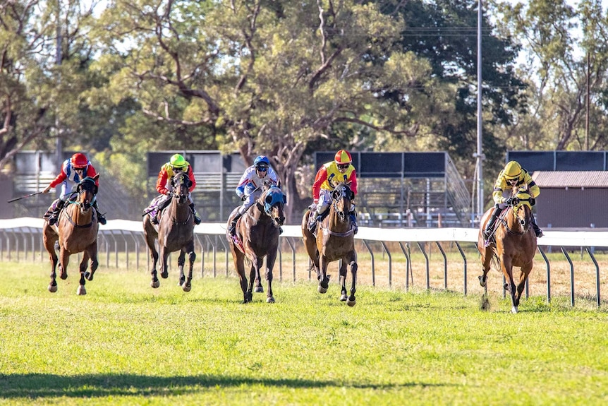 Five racehorses galloping towards camera on turf