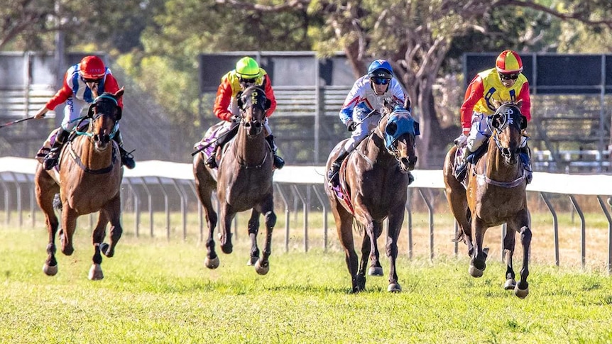 Five racehorses galloping towards camera on turf