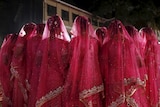 A group of women in traditional Indian dress with veils covering their heads face inwards in a crowd.