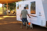 Cane toad sniffer dog checks caravans at Willare Bridge Roadhouse in WA's Kimberley