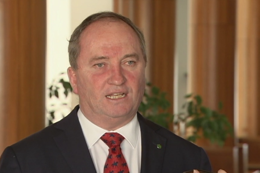 Barnaby Joyce stands, staring straight ahead