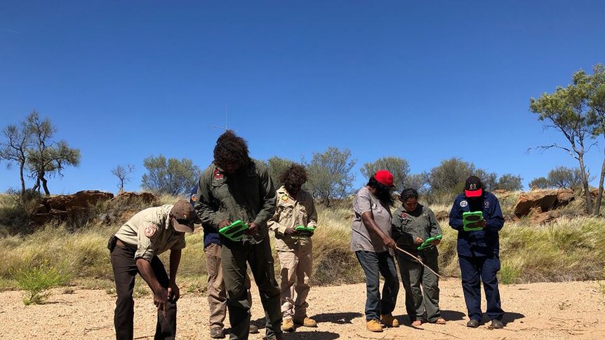 A group of rangers survey land looking for bilbies.