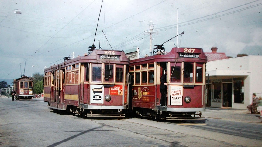 Two trams parked side by side at the Payneham terminus in Adelaide during the 1950s