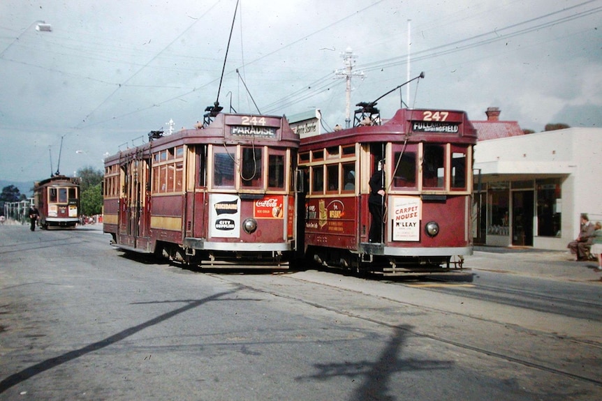 Two trams parked side by side at the Payneham terminus in Adelaide during the 1950s