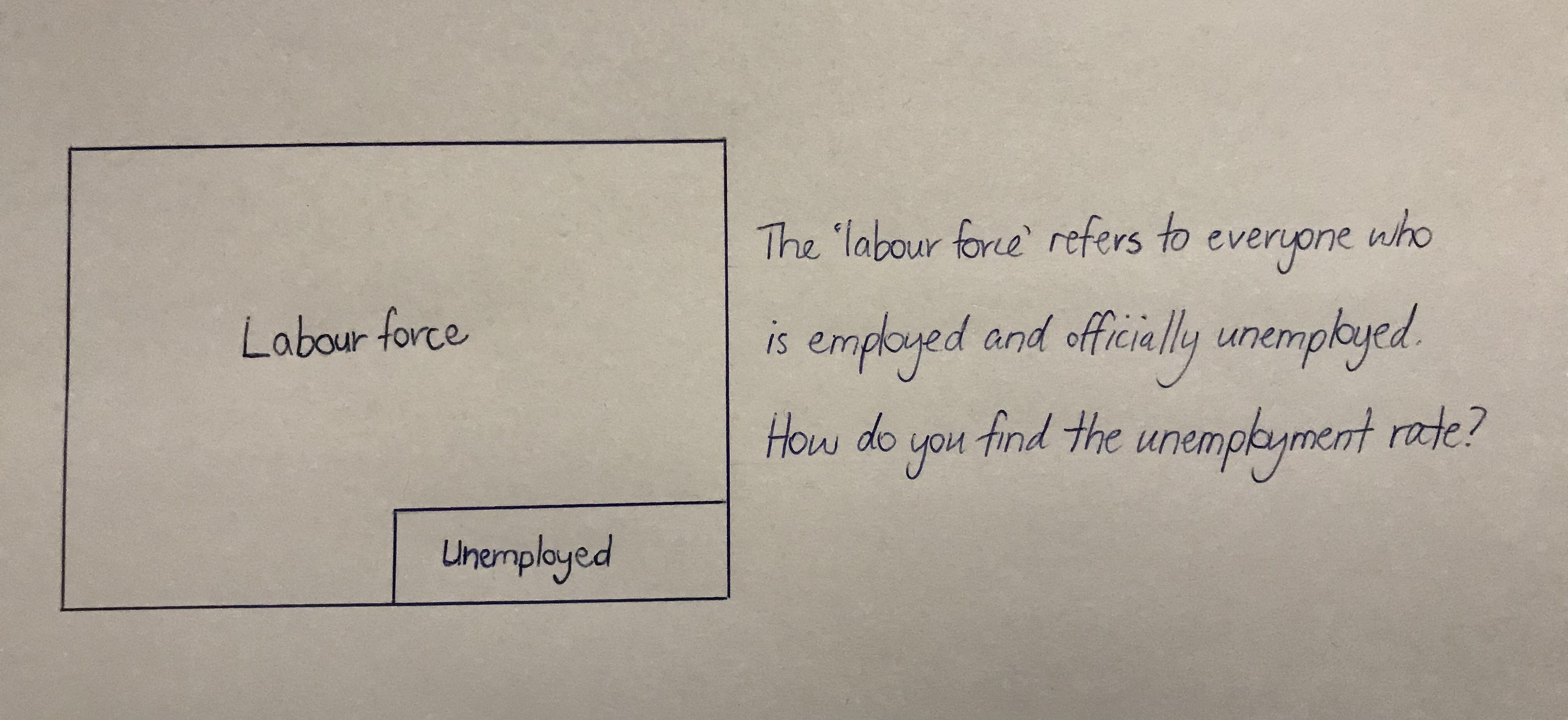 labour force rectangles