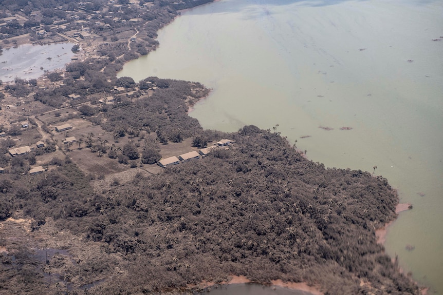 An aerial shot shows the coastline of an island where plants, buildings and roads have been covered by volcanic ash.