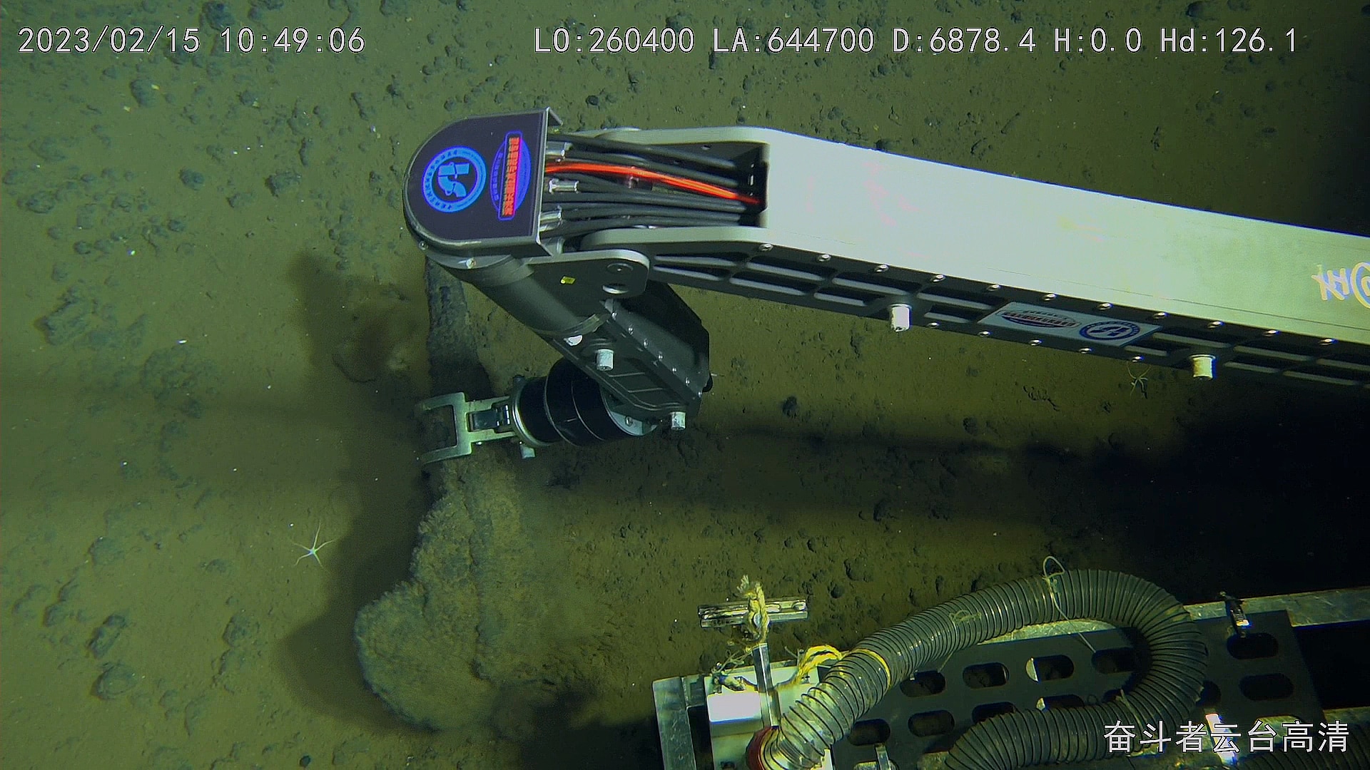 Camera looking down at large robot arm grabbing an axe-shaped fossil from silty sea floor.