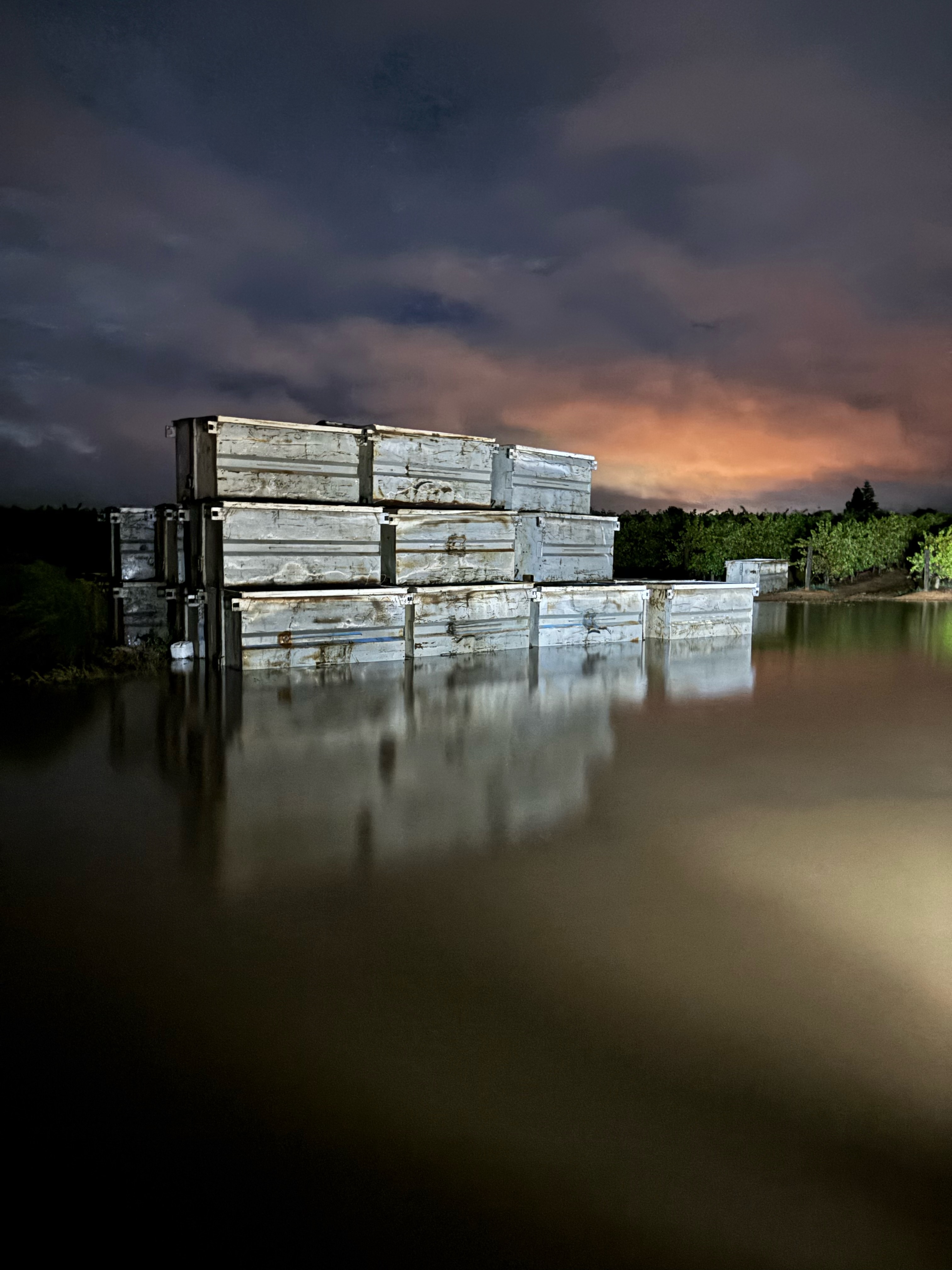 metal bins with flooding in the vineyard