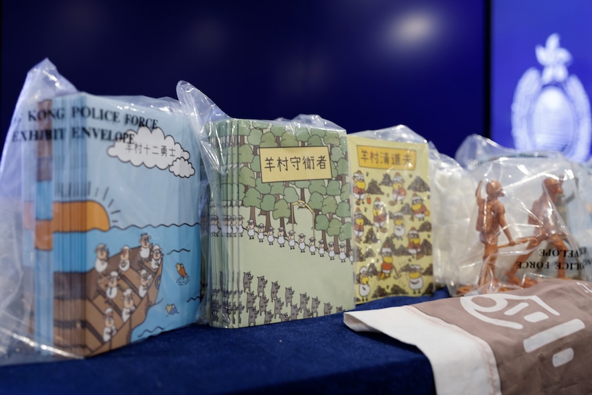 Books with Chinese characters in plastic on display on a desk.