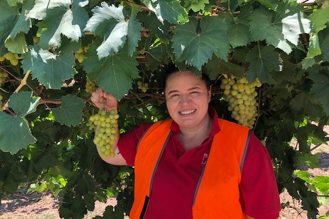 Labour contractor Mel Penson holds a bunch of grapes