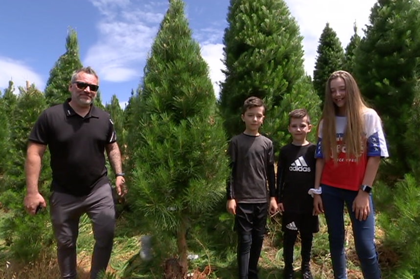 Michael Burford and his family pick a Christmas tree.